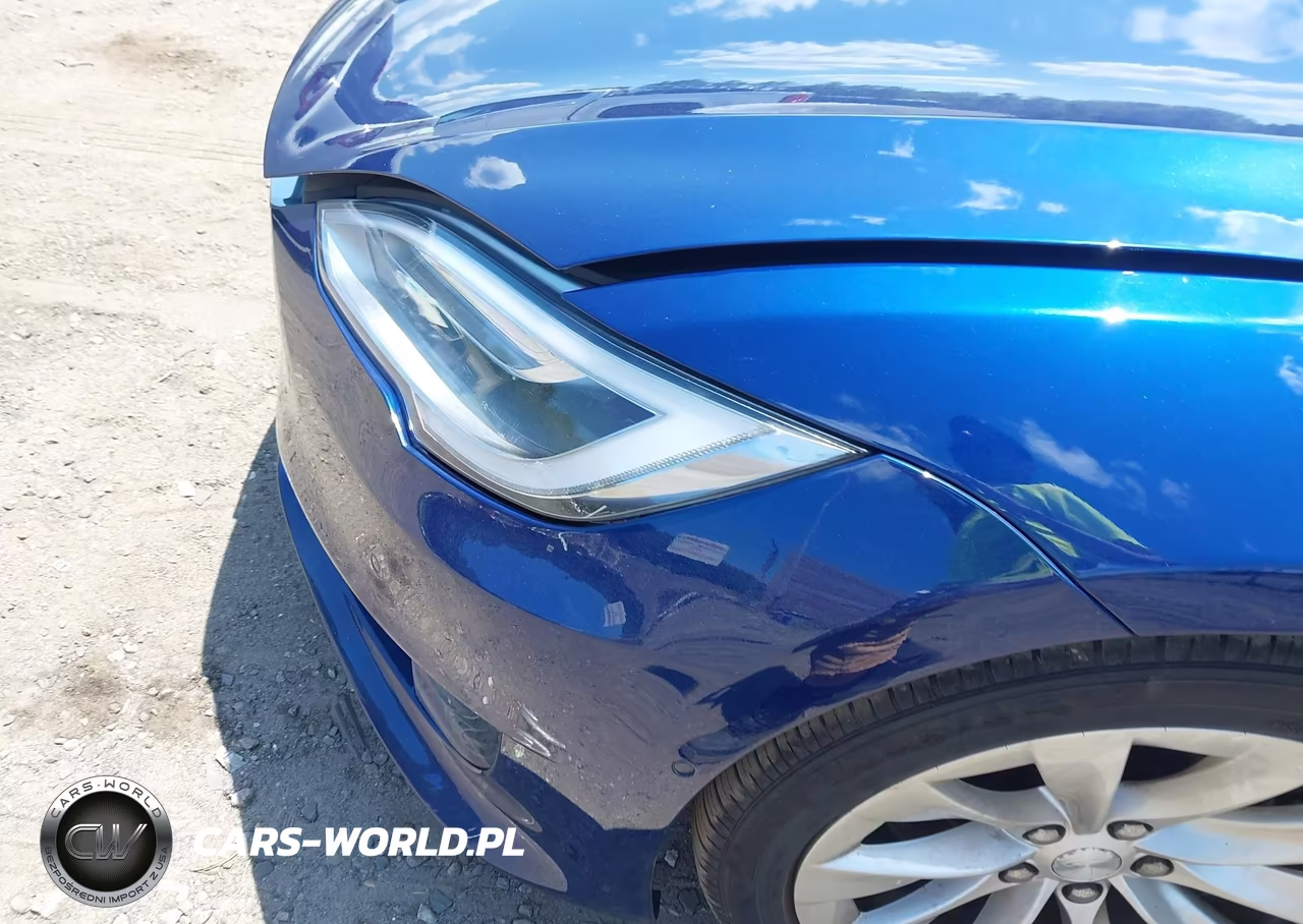 2017 Tesla Model S 100D-60D-75D-90D-P100D VIN:5YJSA1E25HF185701 - 6