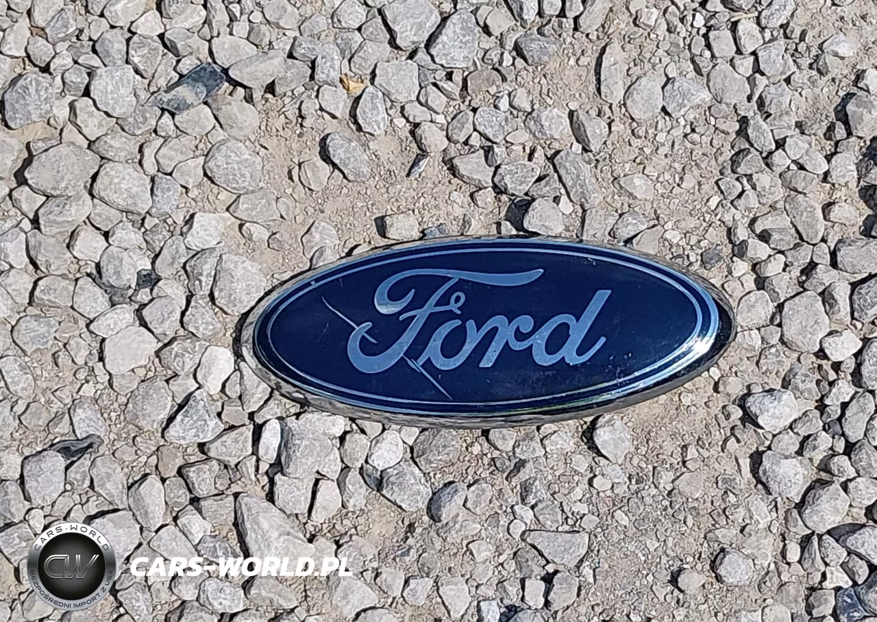 2009 Ford F-150 Stx-Xl VIN:1FTRX12W99KB23730 - 12