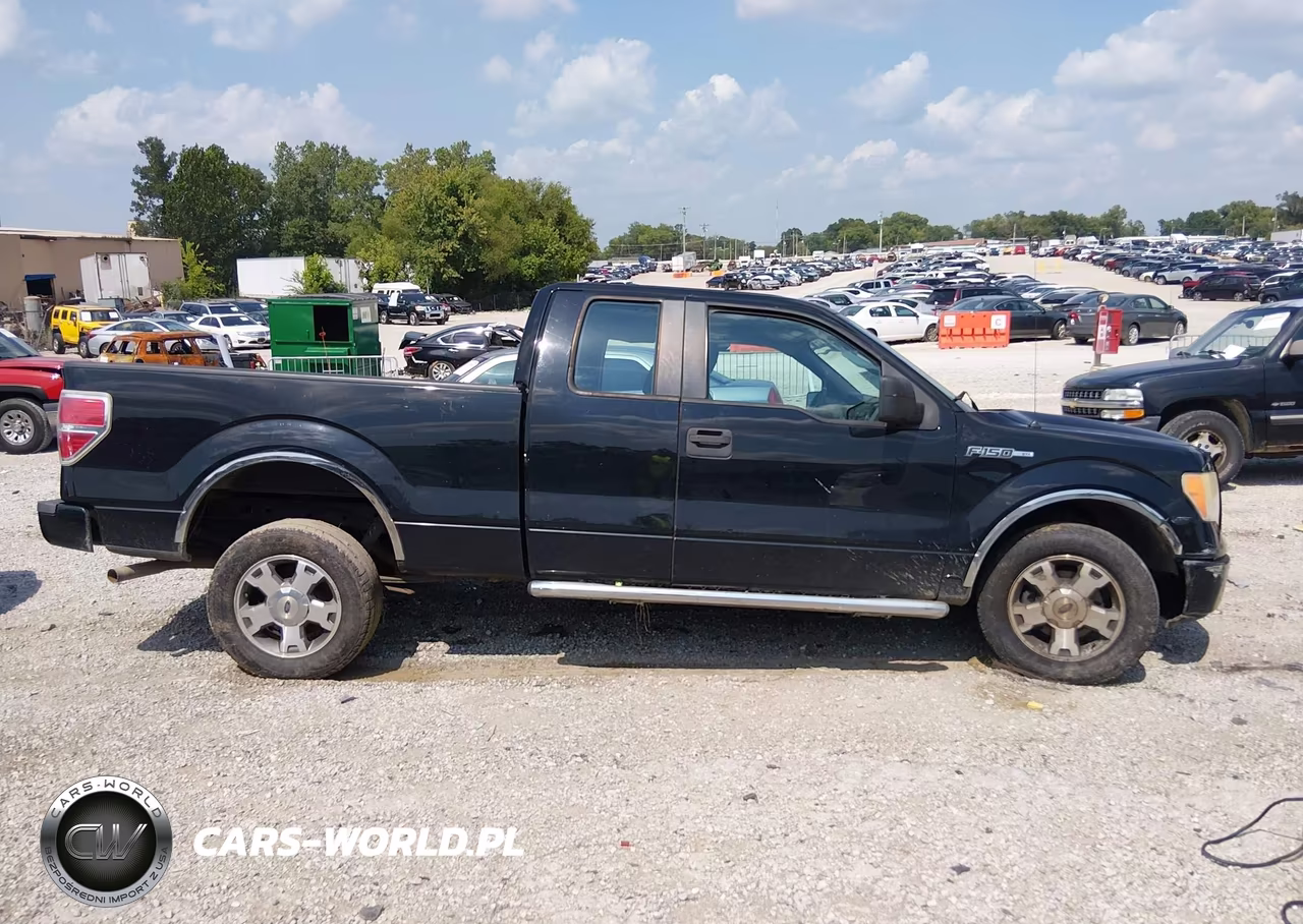 2009 Ford F-150 Stx-Xl VIN:1FTRX12W99KB23730 - 14