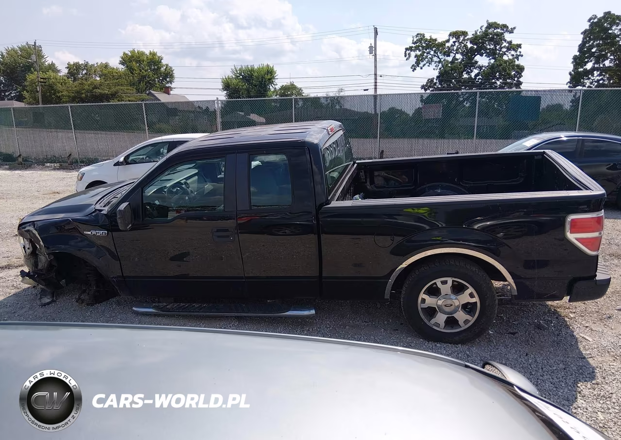 2009 Ford F-150 Stx-Xl VIN:1FTRX12W99KB23730 - 15