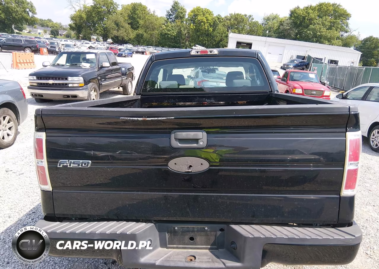 2009 Ford F-150 Stx-Xl VIN:1FTRX12W99KB23730 - 17