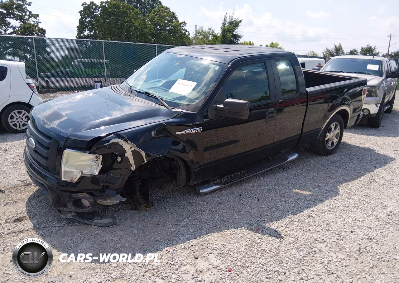 2009 Ford F-150 Stx-Xl VIN:1FTRX12W99KB23730 - 2