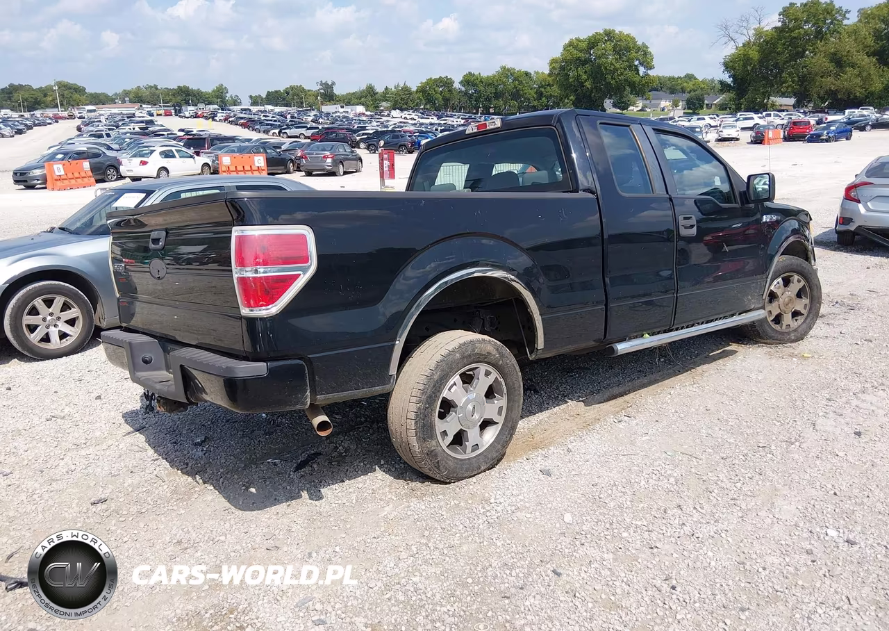 2009 Ford F-150 Stx-Xl VIN:1FTRX12W99KB23730 - 4