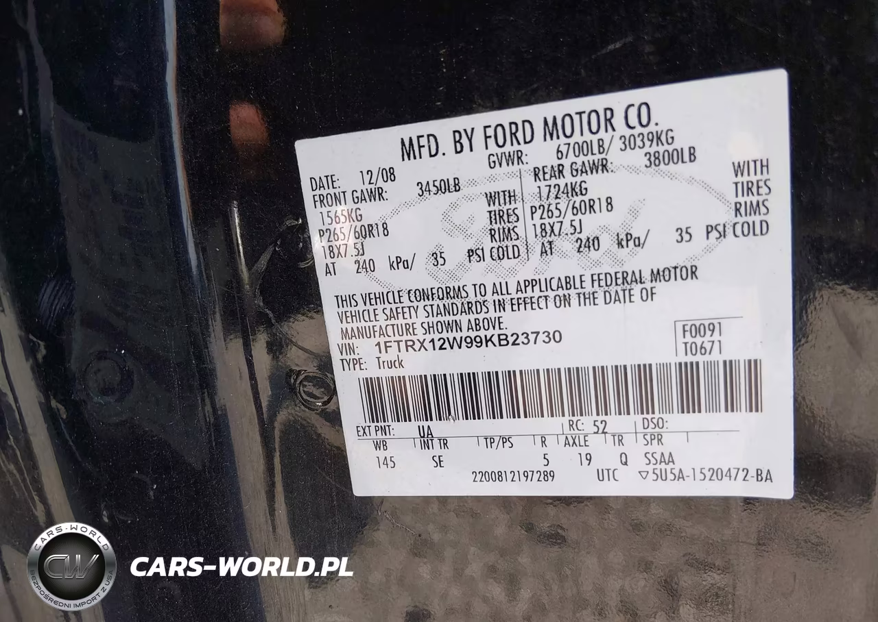 2009 Ford F-150 Stx-Xl VIN:1FTRX12W99KB23730 - 9