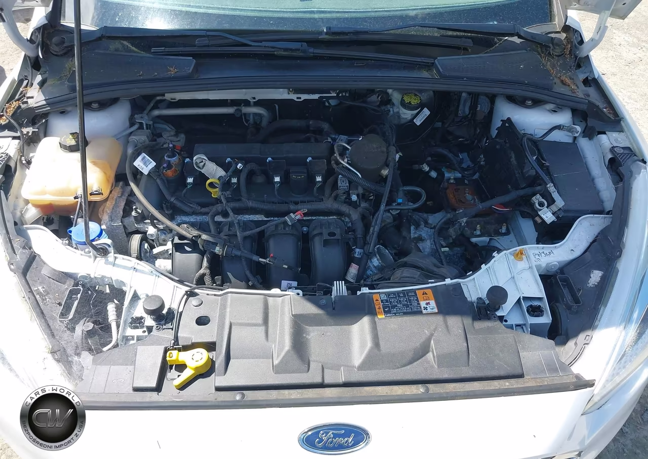 2016 Ford Focus Se VIN:1FADP3F23GL294063 - 10