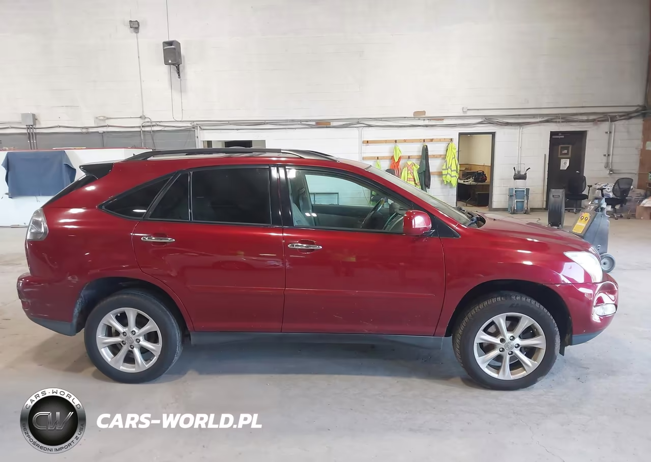 2009 Lexus Rx 350 VIN:2T2HK31U09C115177 - 13