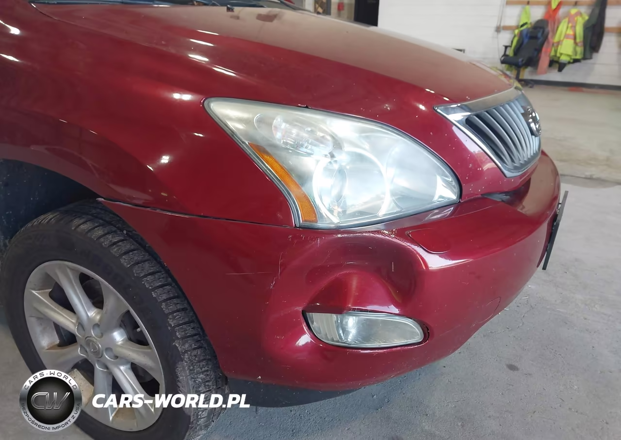 2009 Lexus Rx 350 VIN:2T2HK31U09C115177 - 17