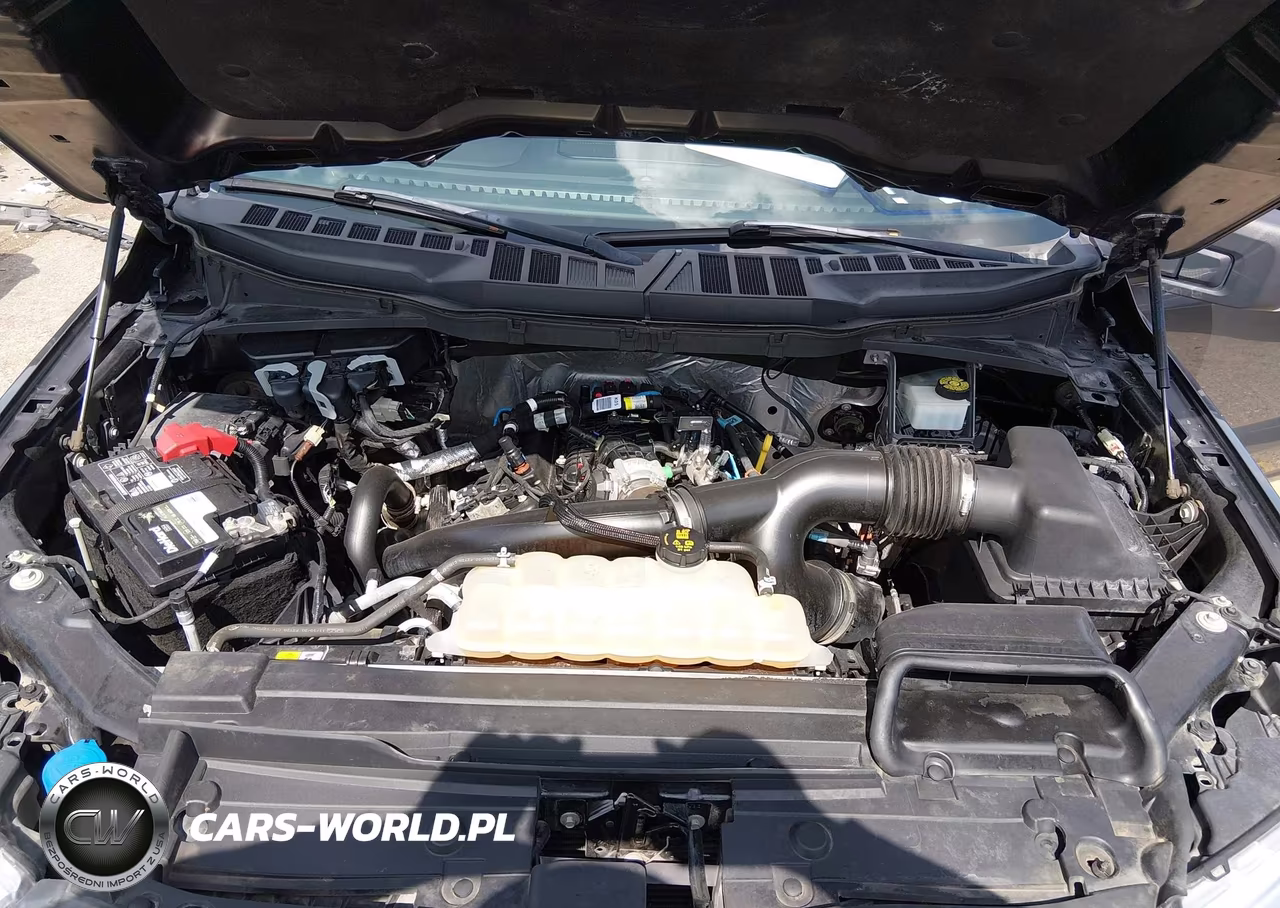 2021 Ford F-150 Xlt VIN:1FTEW1CP6MKD16158 - 10