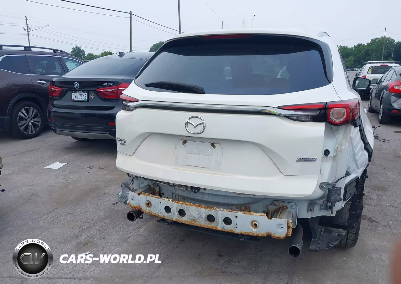 2019 Mazda Cx-9 Grand Touring VIN:JM3TCBDY9K0305832 - 17