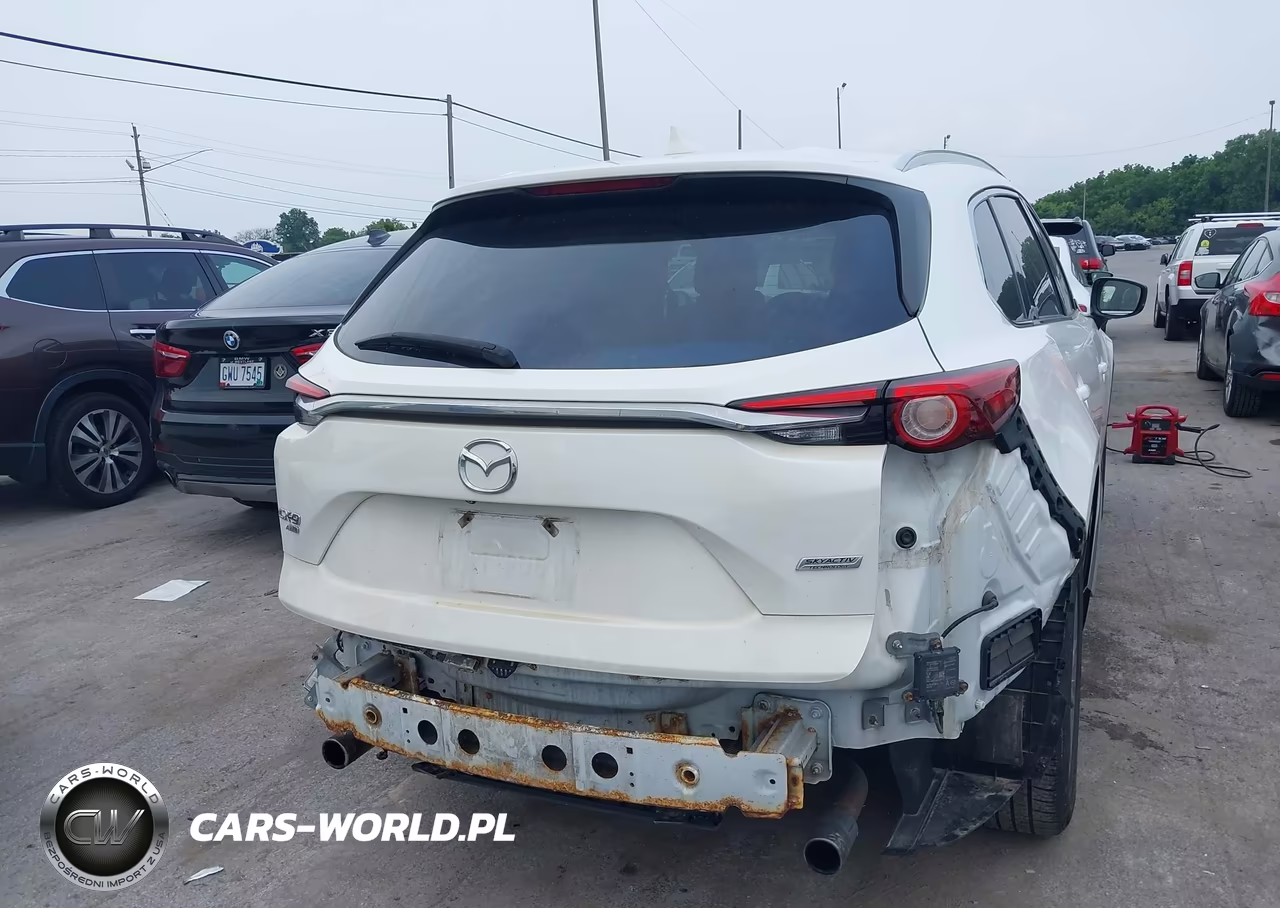 2019 Mazda Cx-9 Grand Touring VIN:JM3TCBDY9K0305832 - 6