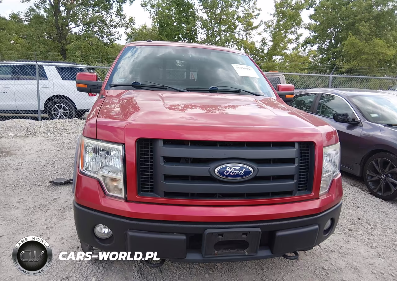 2010 Ford F-150 Xl-Xlt-Fx4-Lariat VIN:1FTFX1EV0AKE20296 - 12