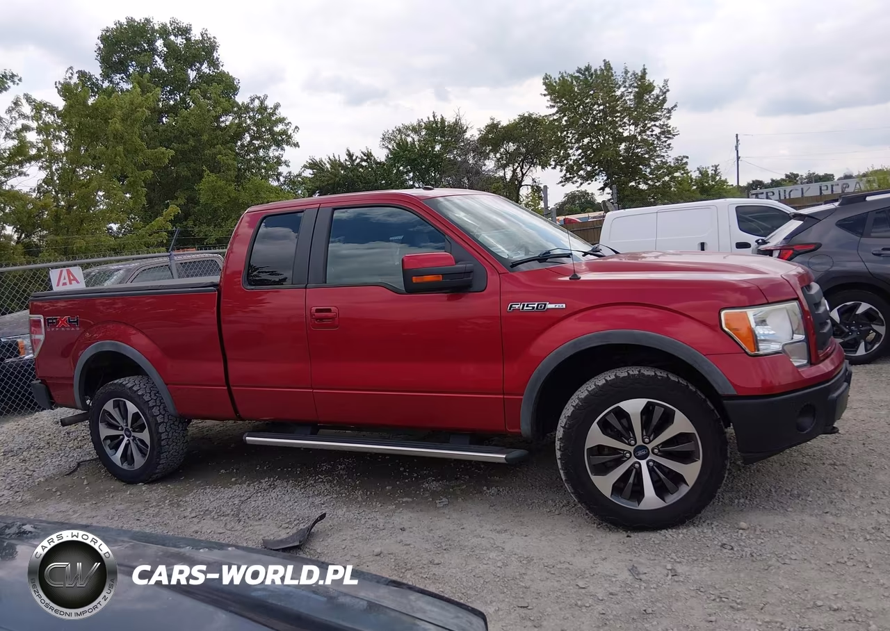 2010 Ford F-150 Xl-Xlt-Fx4-Lariat VIN:1FTFX1EV0AKE20296 - 13