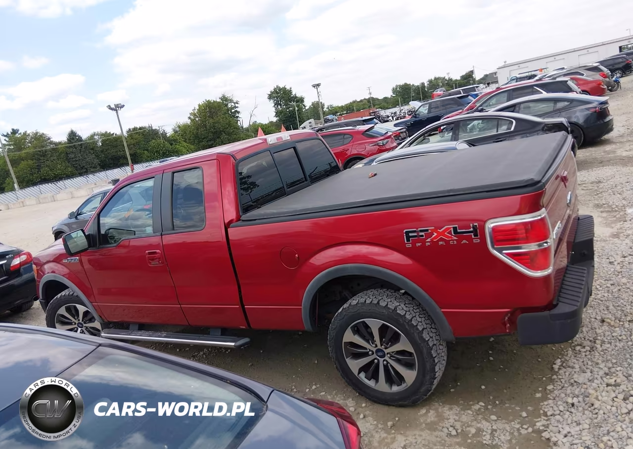2010 Ford F-150 Xl-Xlt-Fx4-Lariat VIN:1FTFX1EV0AKE20296 - 14