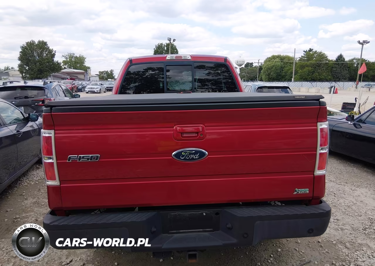 2010 Ford F-150 Xl-Xlt-Fx4-Lariat VIN:1FTFX1EV0AKE20296 - 16