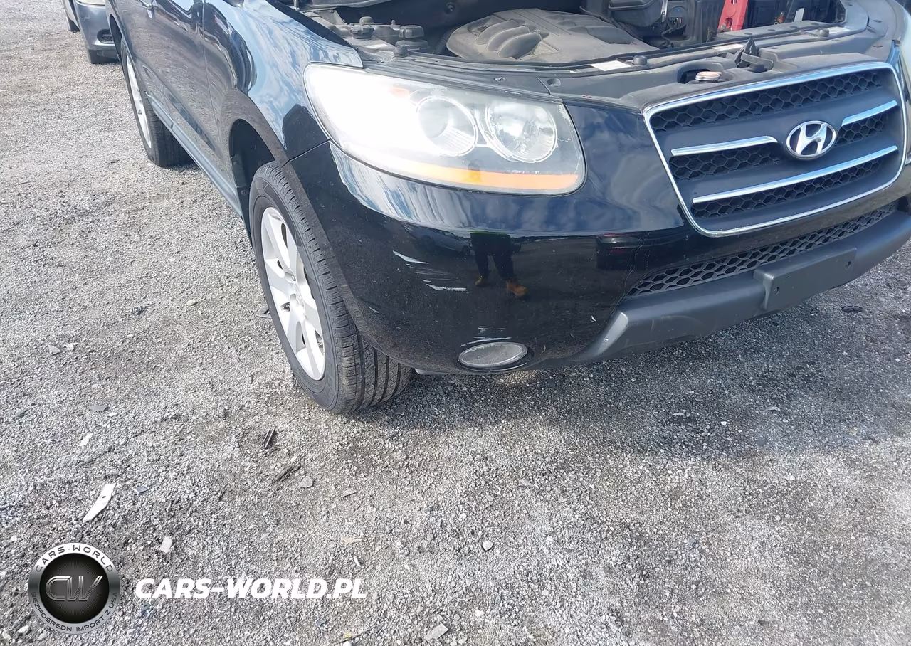 2009 Hyundai Santa Fe Limited VIN:5NMSH73E99H296392 - 6