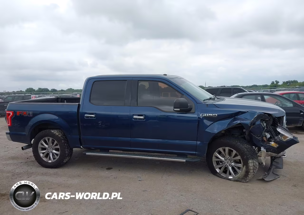 2017 Ford F-150 Xlt VIN:1FTEW1EF4HKD17061 - 13