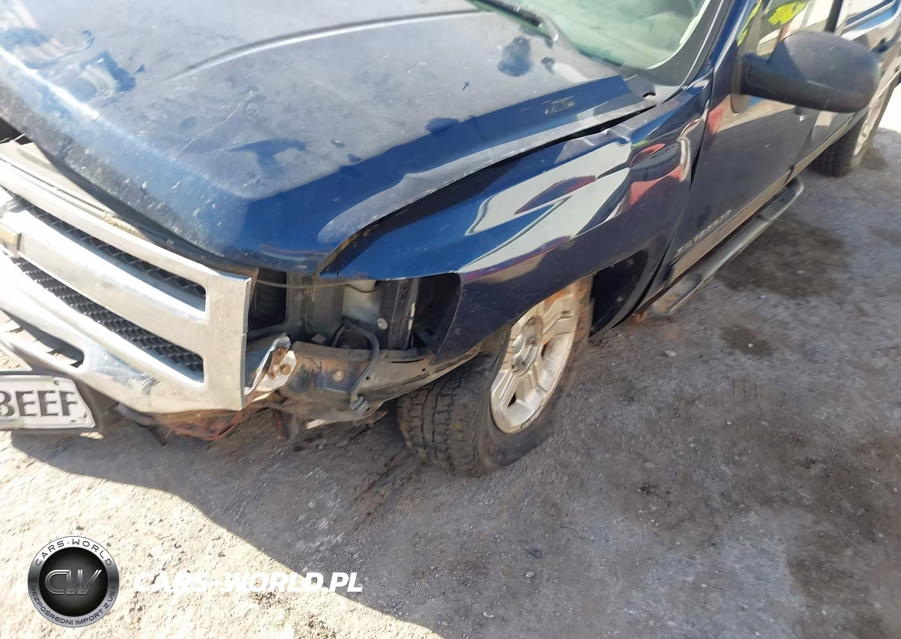 2010 Chevrolet Silverado 1500 Lt VIN:3GCRKSE38AG111005 - 6