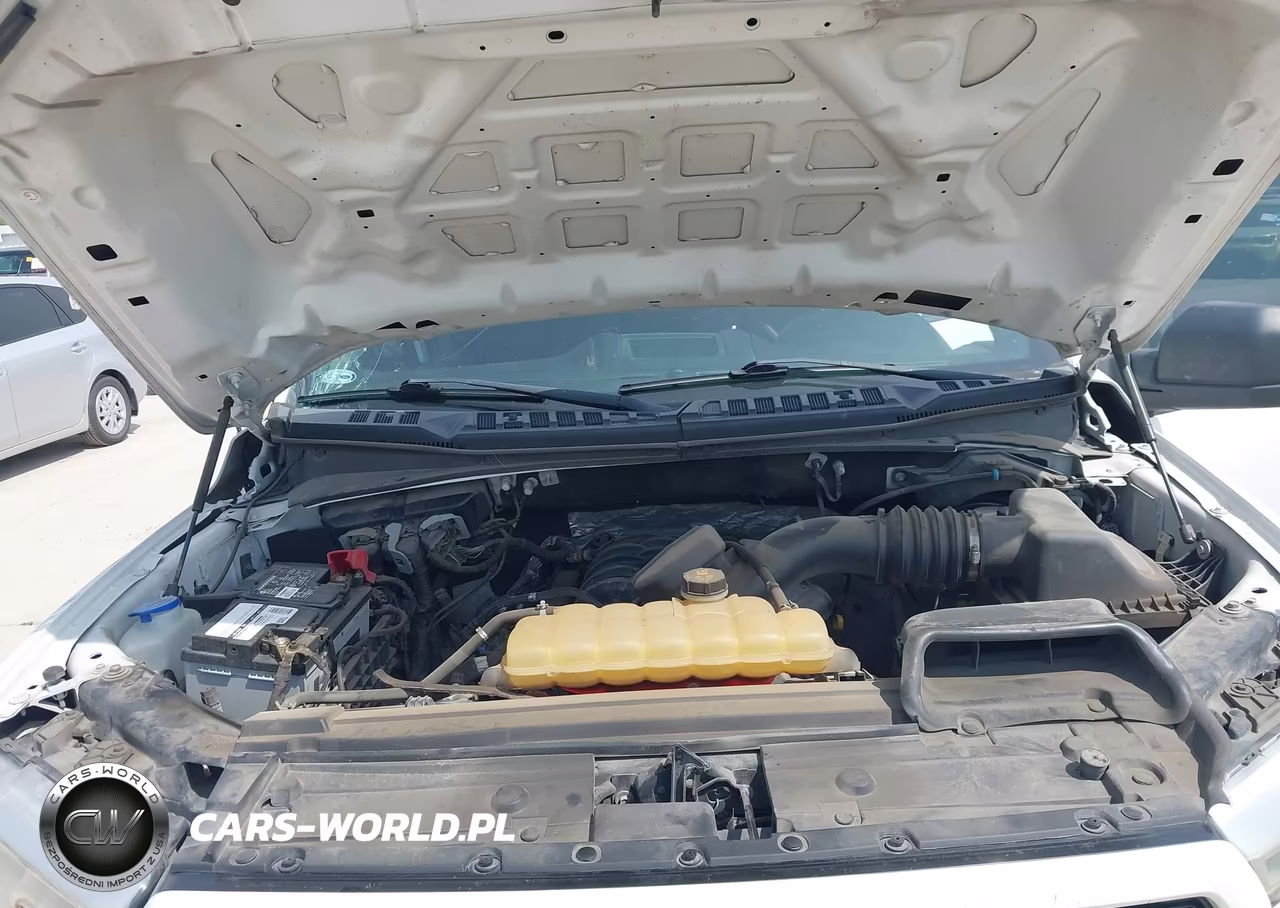 2019 Ford F-150 Xl VIN:1FTEW1E56KKC32009 - 10