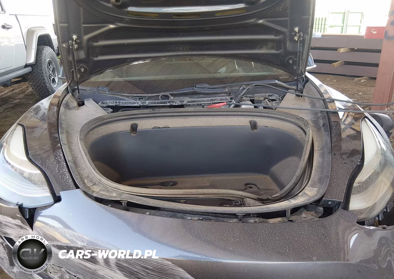 2020 Tesla Model 3 Standard Range Plus Rear-Wheel Drive-Standard Range Rear-Wheel Drive VIN:5YJ3E1EA6LF611551 - 10