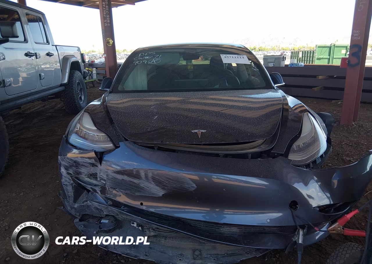 2020 Tesla Model 3 Standard Range Plus Rear-Wheel Drive-Standard Range Rear-Wheel Drive VIN:5YJ3E1EA6LF611551 - 12