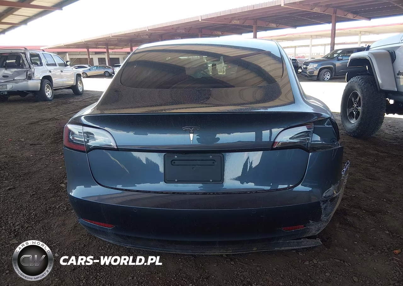 2020 Tesla Model 3 Standard Range Plus Rear-Wheel Drive-Standard Range Rear-Wheel Drive VIN:5YJ3E1EA6LF611551 - 16