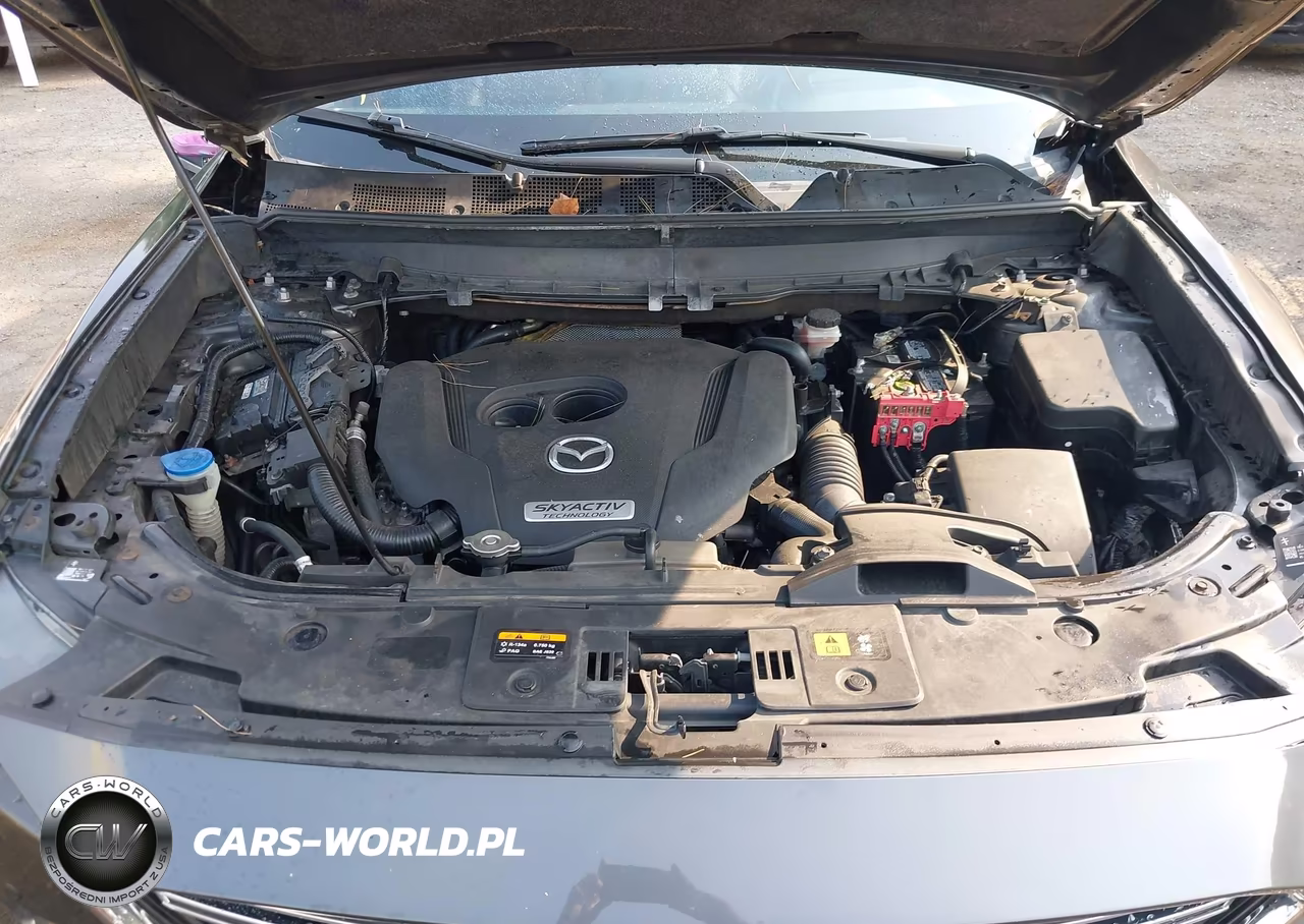 2018 Mazda Cx-9 Signature VIN:JM3TCBEY3J0211586 - 10