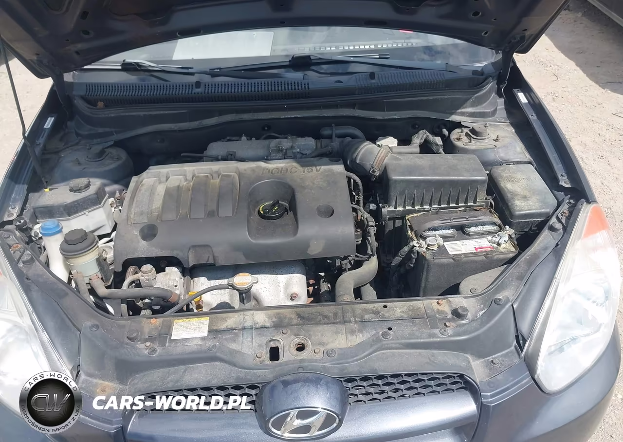 2010 Hyundai Accent Gs VIN:KMHCM3AC0AU166956 - 10