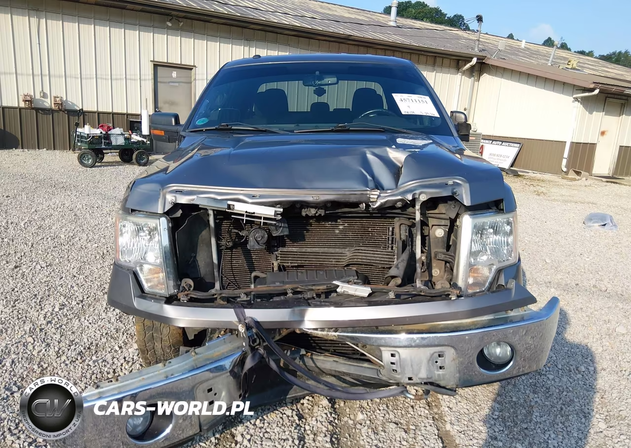 2013 Ford F-150 Xlt VIN:1FTFX1ET8DFB18251 - 13