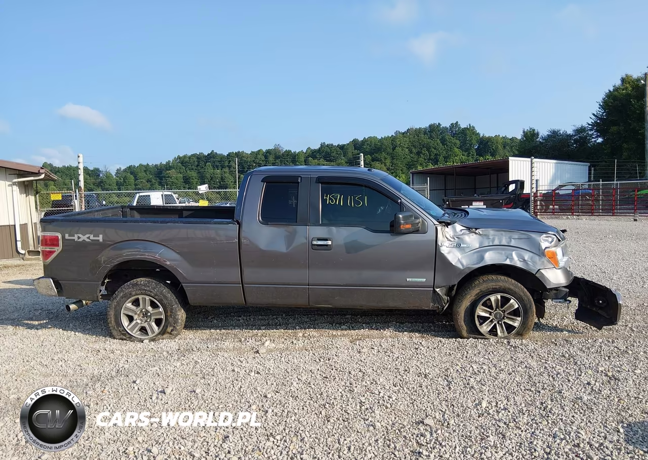 2013 Ford F-150 Xlt VIN:1FTFX1ET8DFB18251 - 14