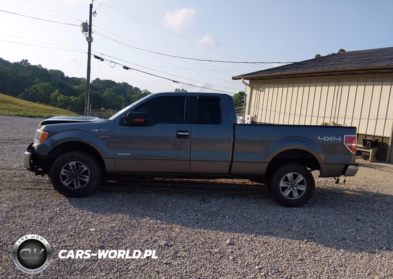 2013 Ford F-150 Xlt VIN:1FTFX1ET8DFB18251 - 15