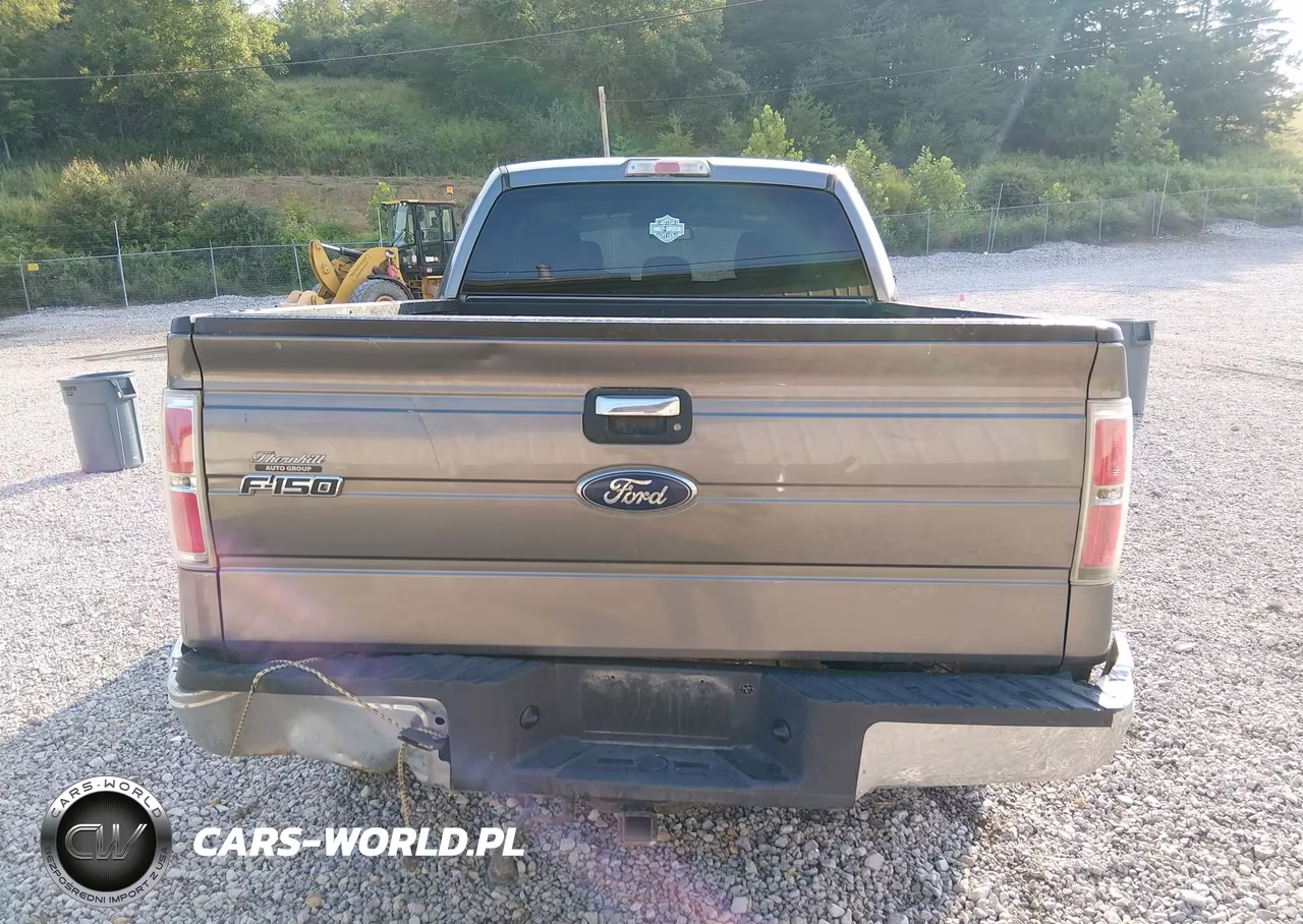 2013 Ford F-150 Xlt VIN:1FTFX1ET8DFB18251 - 17