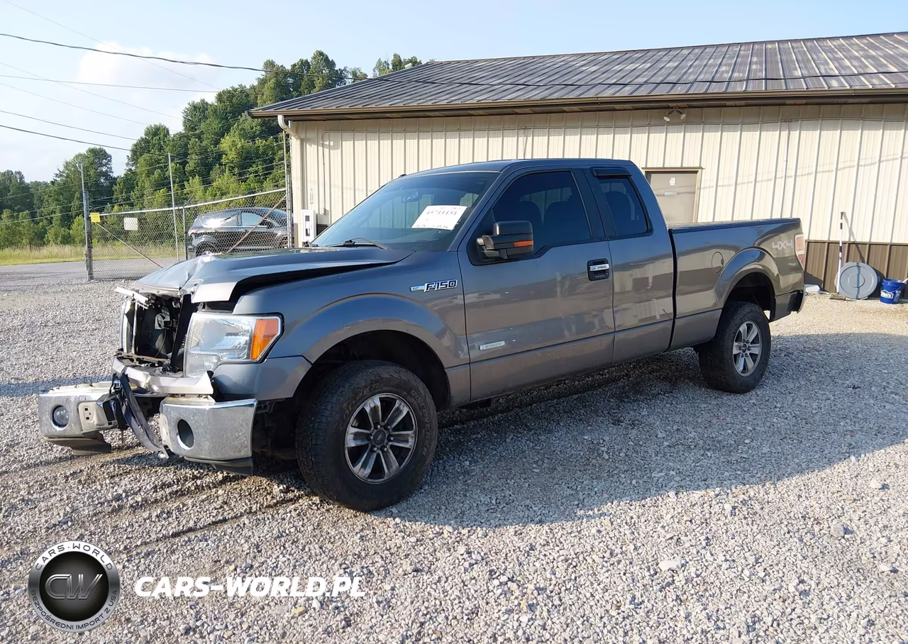 2013 Ford F-150 Xlt VIN:1FTFX1ET8DFB18251 - 2