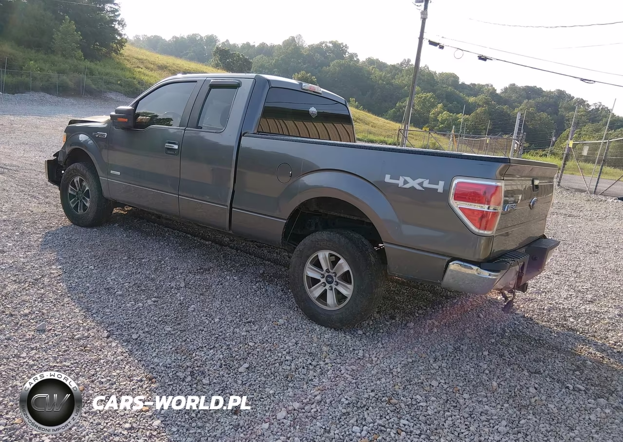 2013 Ford F-150 Xlt VIN:1FTFX1ET8DFB18251 - 3