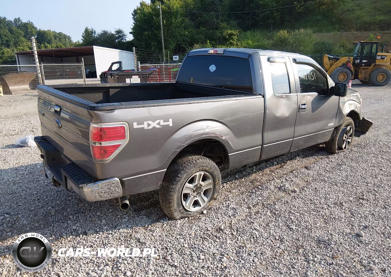 2013 Ford F-150 Xlt VIN:1FTFX1ET8DFB18251 - 4