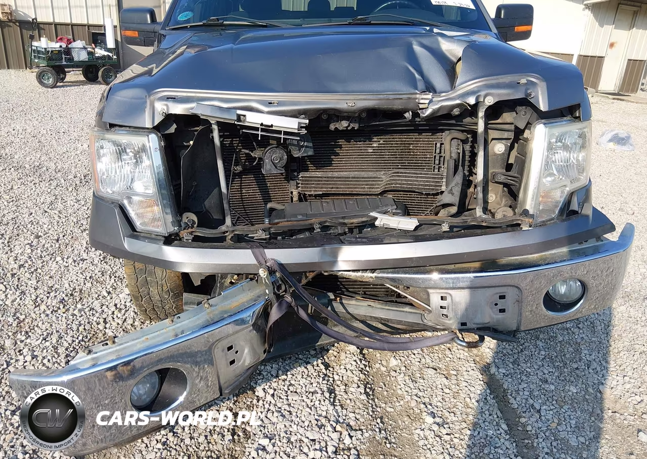 2013 Ford F-150 Xlt VIN:1FTFX1ET8DFB18251 - 6