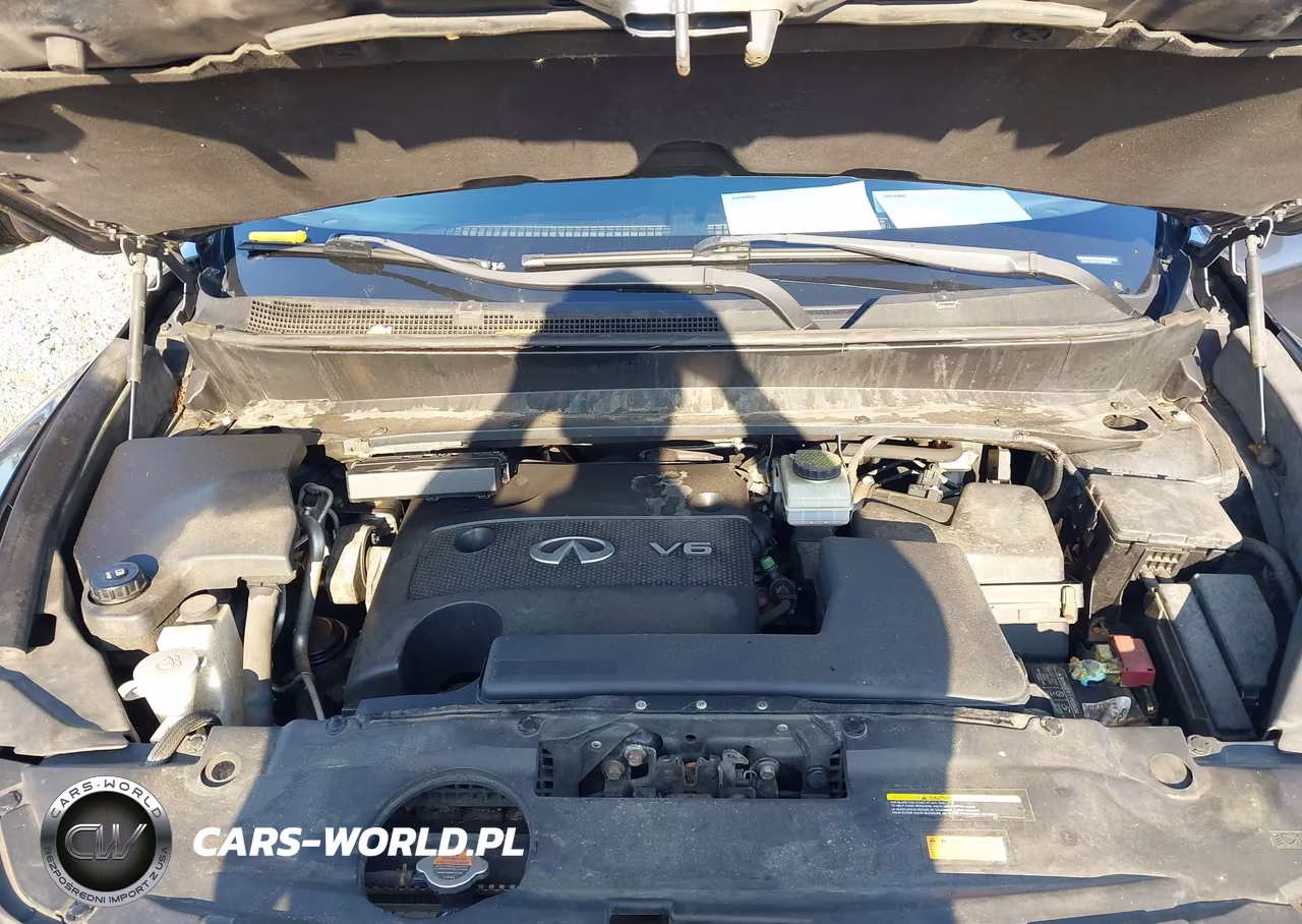 2014 Infiniti Qx60 VIN:5N1AL0MM1EC500047 - 10