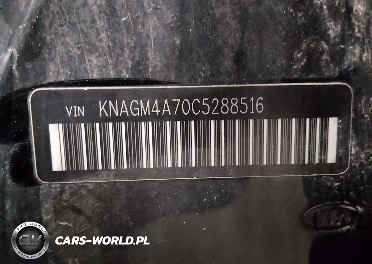 2012 Kia Optima Lx VIN:KNAGM4A70C5288516 - 9