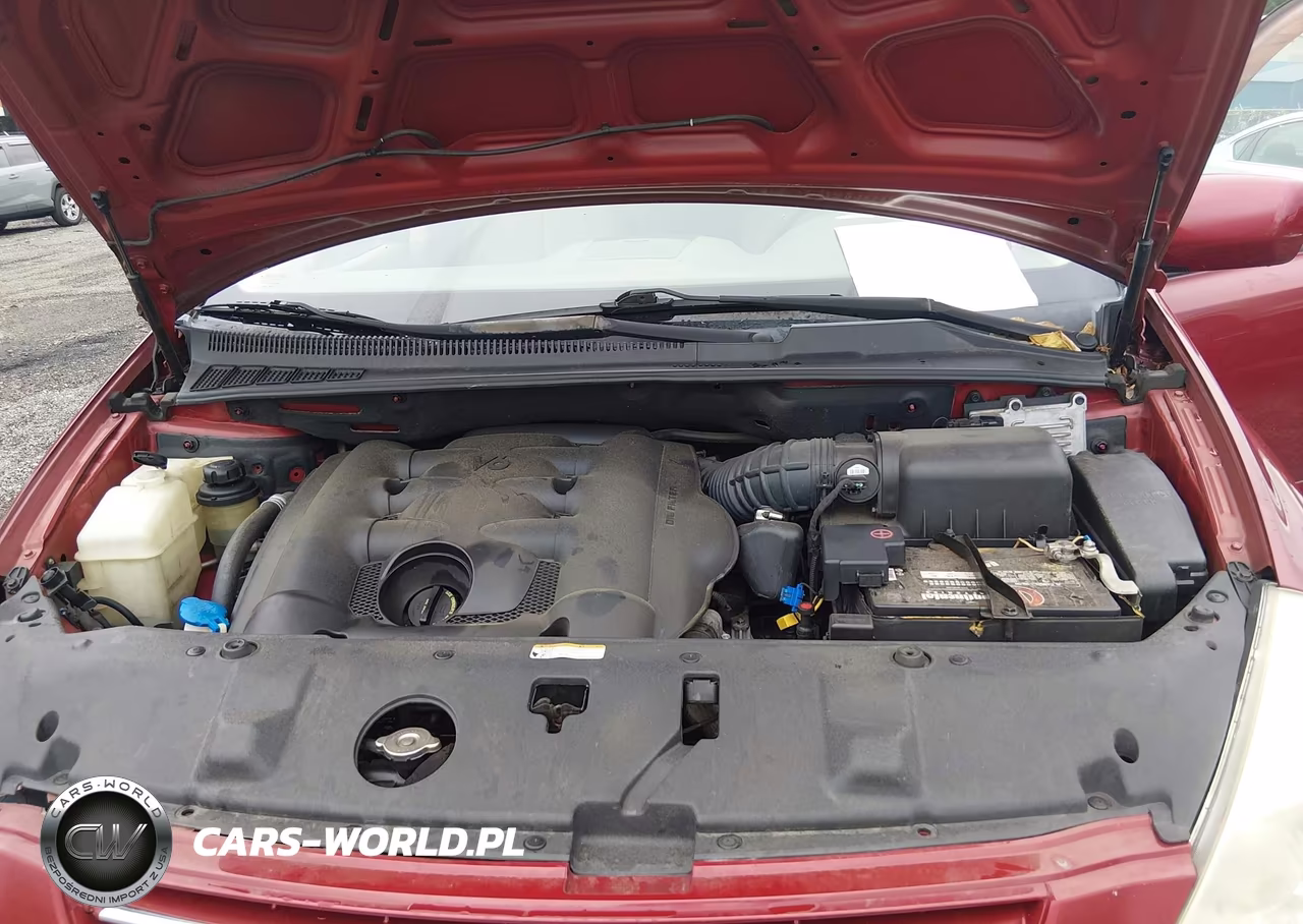 2009 Kia Sedona Ex VIN:KNDMB233696319944 - 10