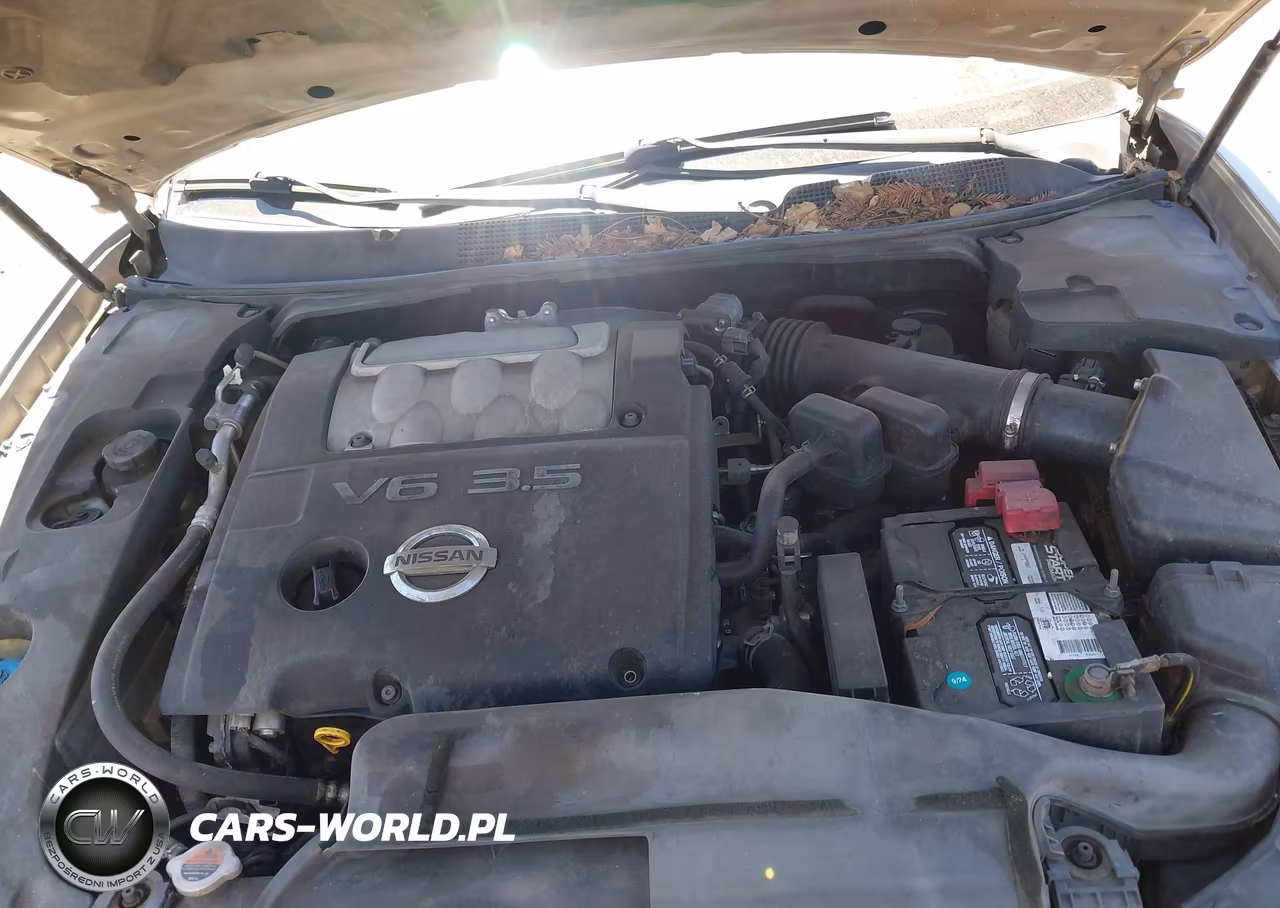 2008 Nissan Maxima 3.5 Se VIN:1N4BA41E18C803763 - 10