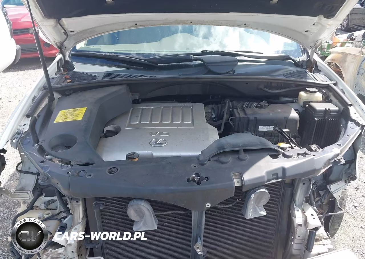 2009 Lexus Rx 350 VIN:2T2GK31U09C073606 - 10