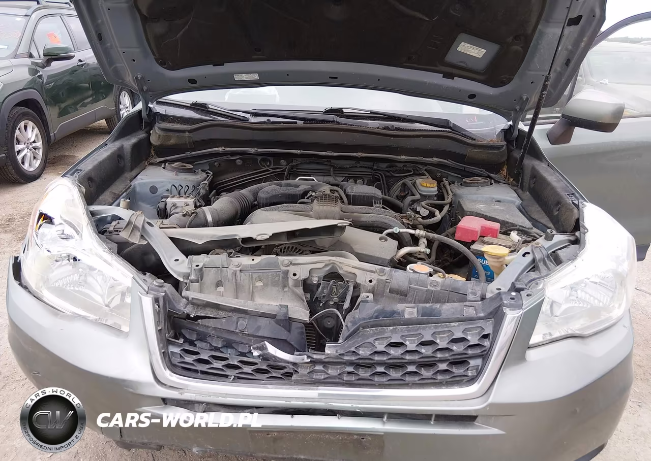 2016 Subaru Forester 2.5I Premium VIN:JF2SJADC7GH515381 - 10