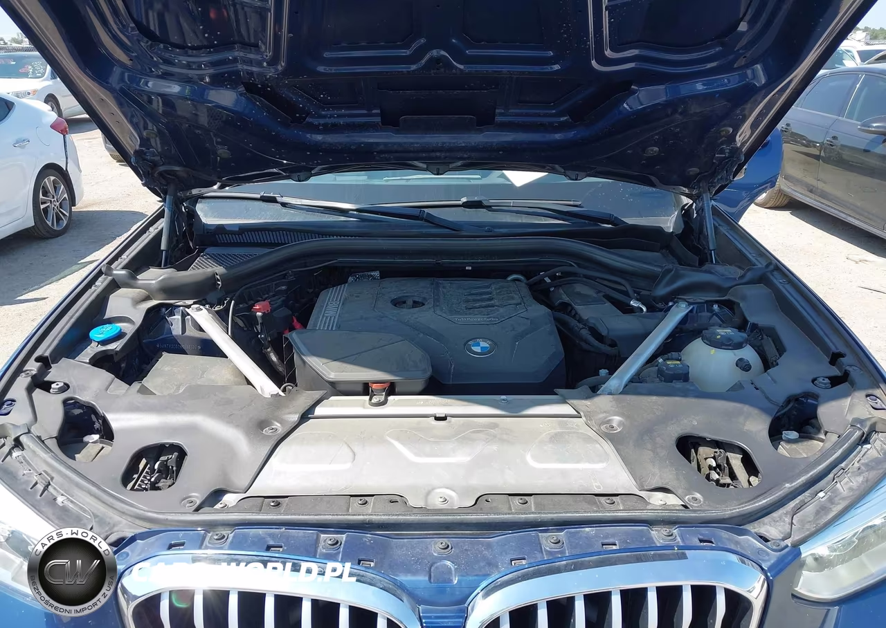 2021 BMW X3 Sdrive30I VIN:5UXTY3C02M9E13379 - 10