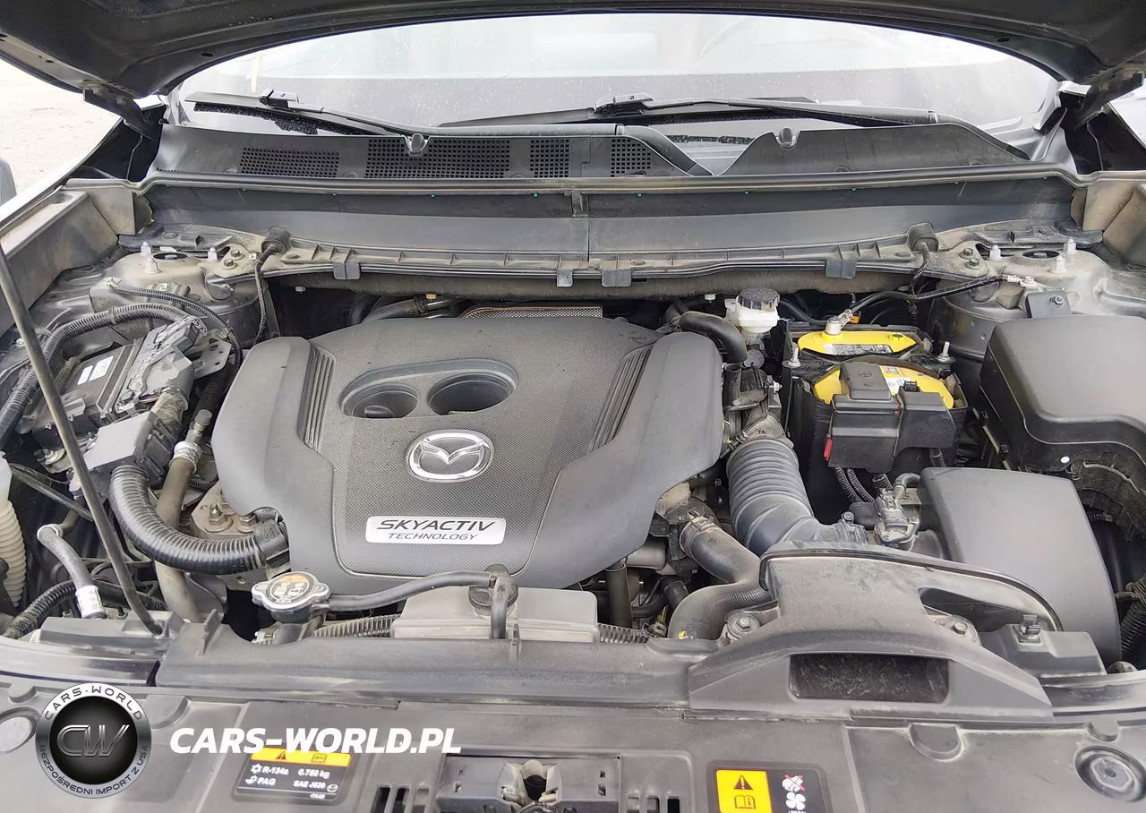 2019 Mazda Cx-9 Signature VIN:JM3TCBEY0K0336322 - 10