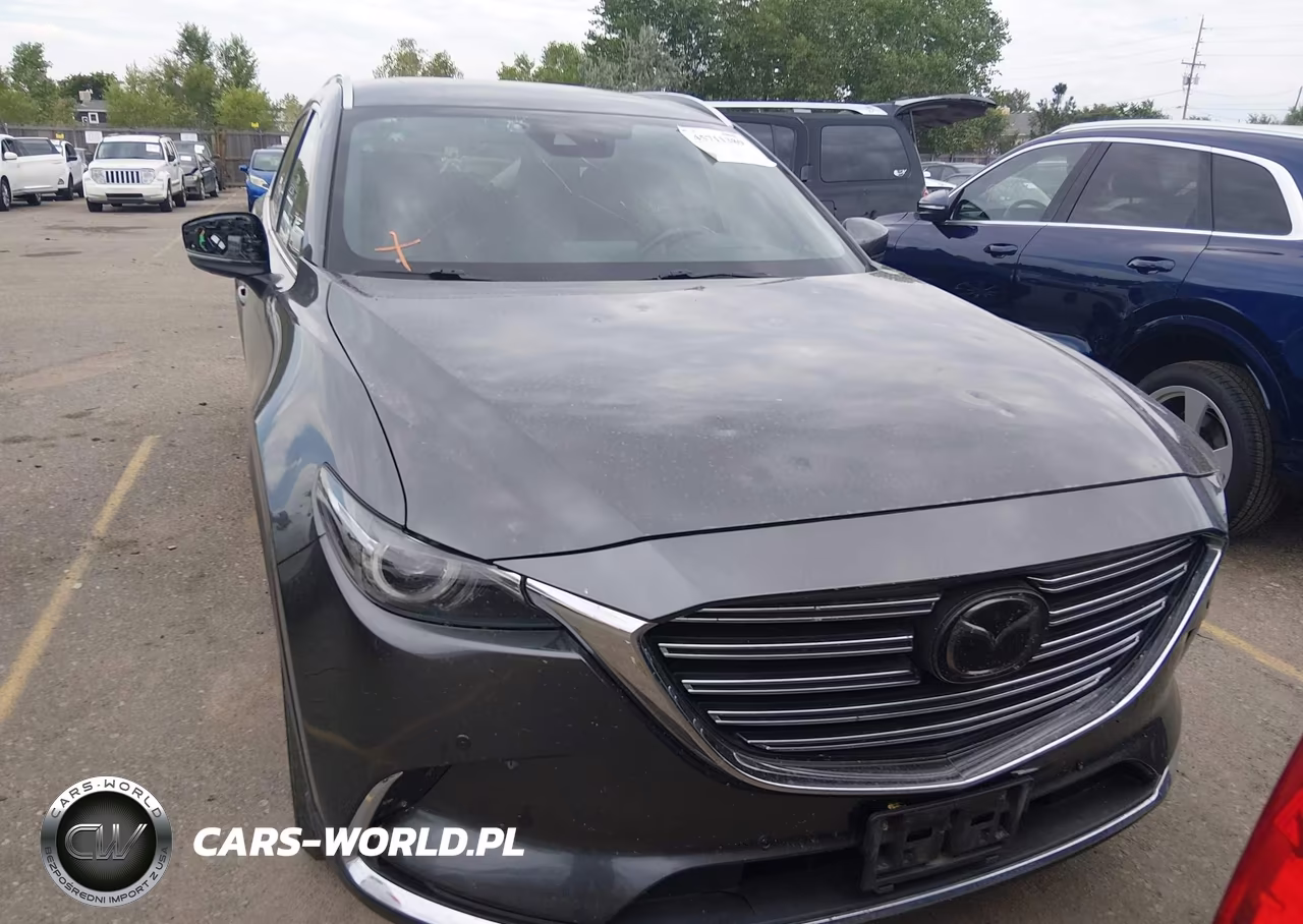 2019 Mazda Cx-9 Signature VIN:JM3TCBEY0K0336322 - 12
