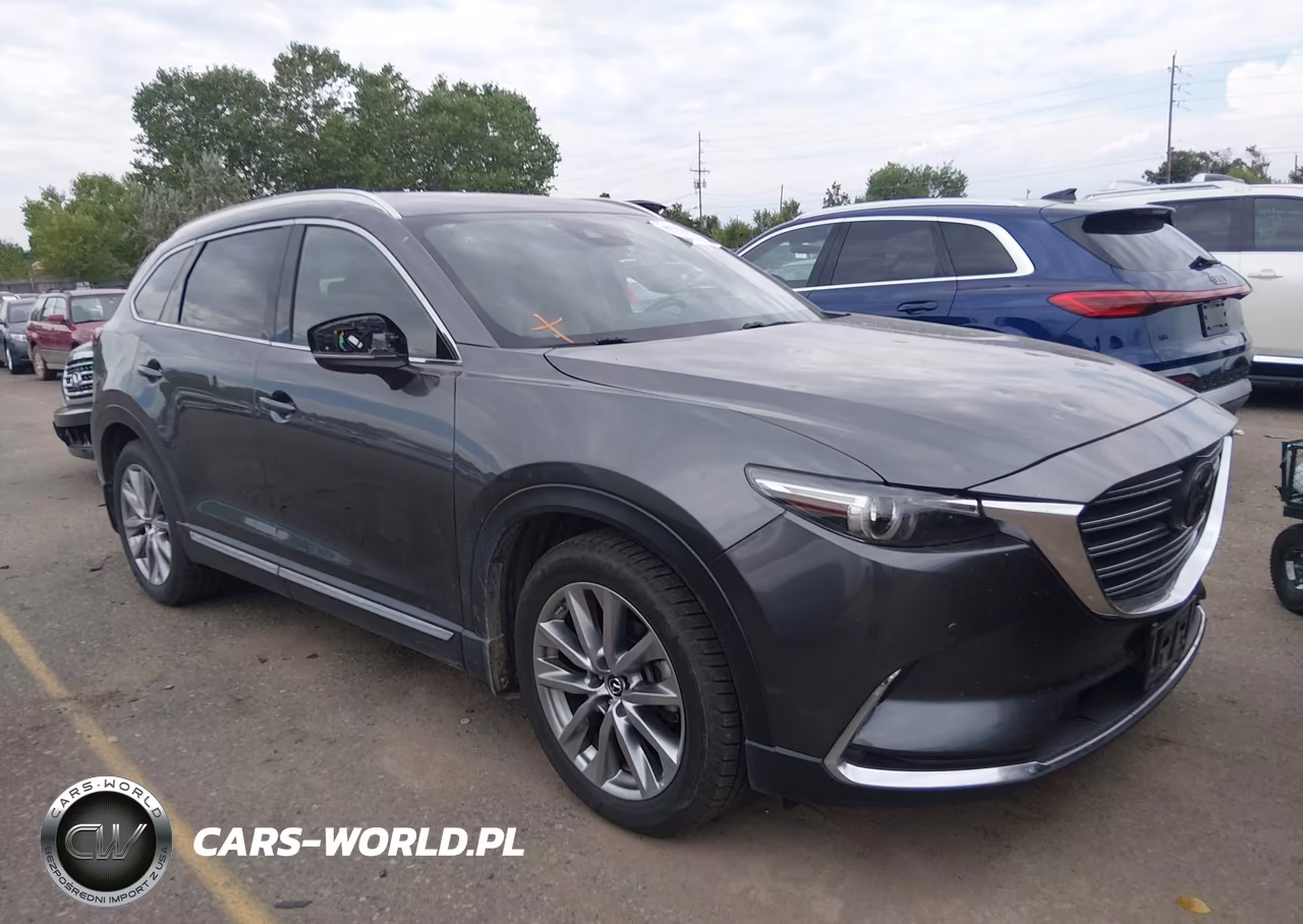 2019 Mazda Cx-9 Signature VIN:JM3TCBEY0K0336322 - 13