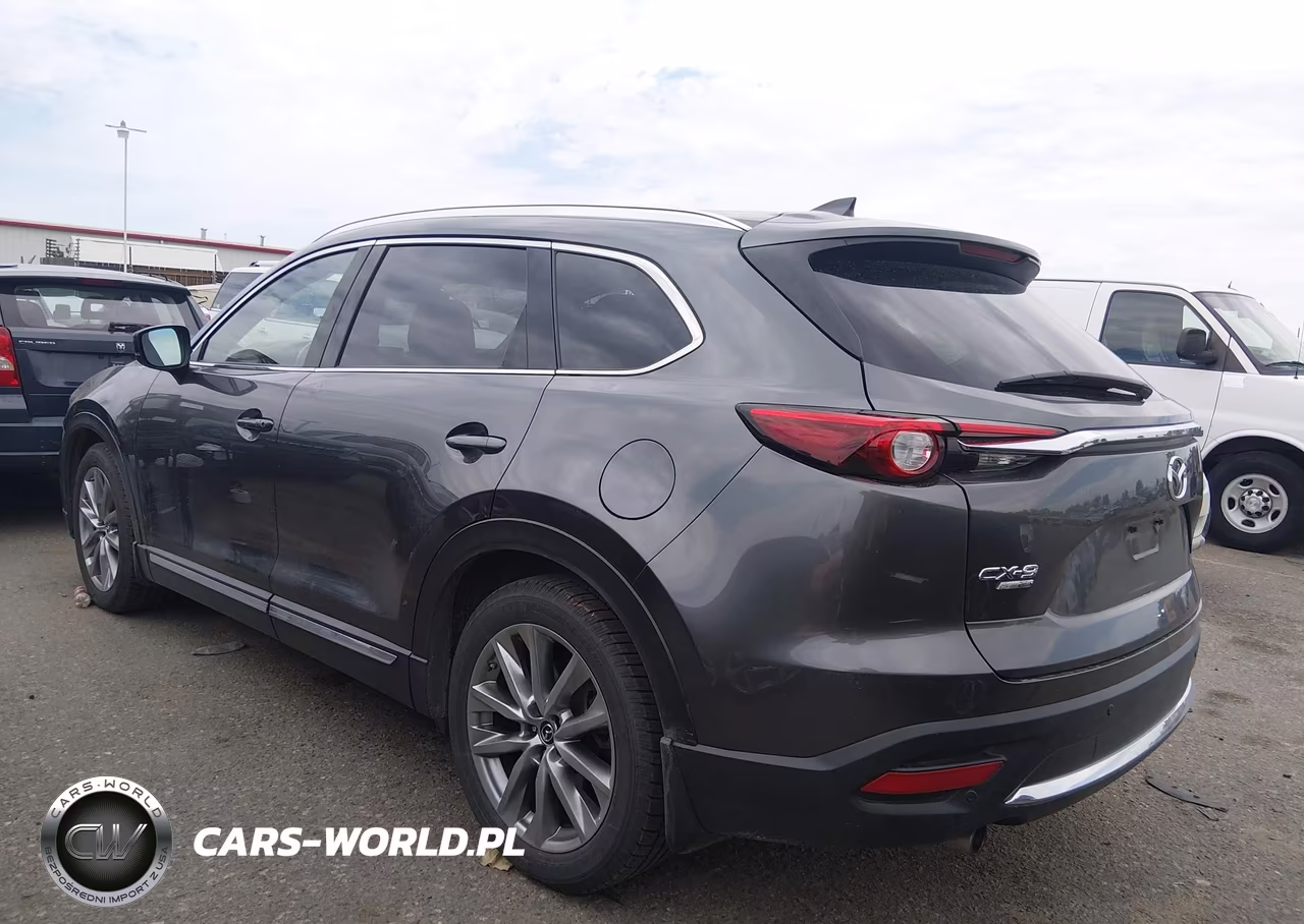 2019 Mazda Cx-9 Signature VIN:JM3TCBEY0K0336322 - 14