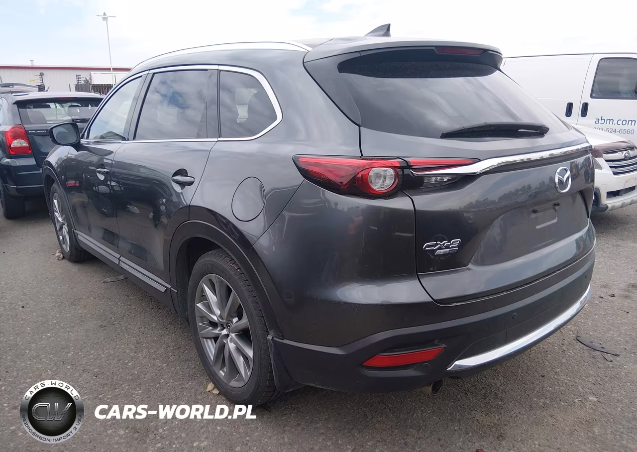 2019 Mazda Cx-9 Signature VIN:JM3TCBEY0K0336322 - 3