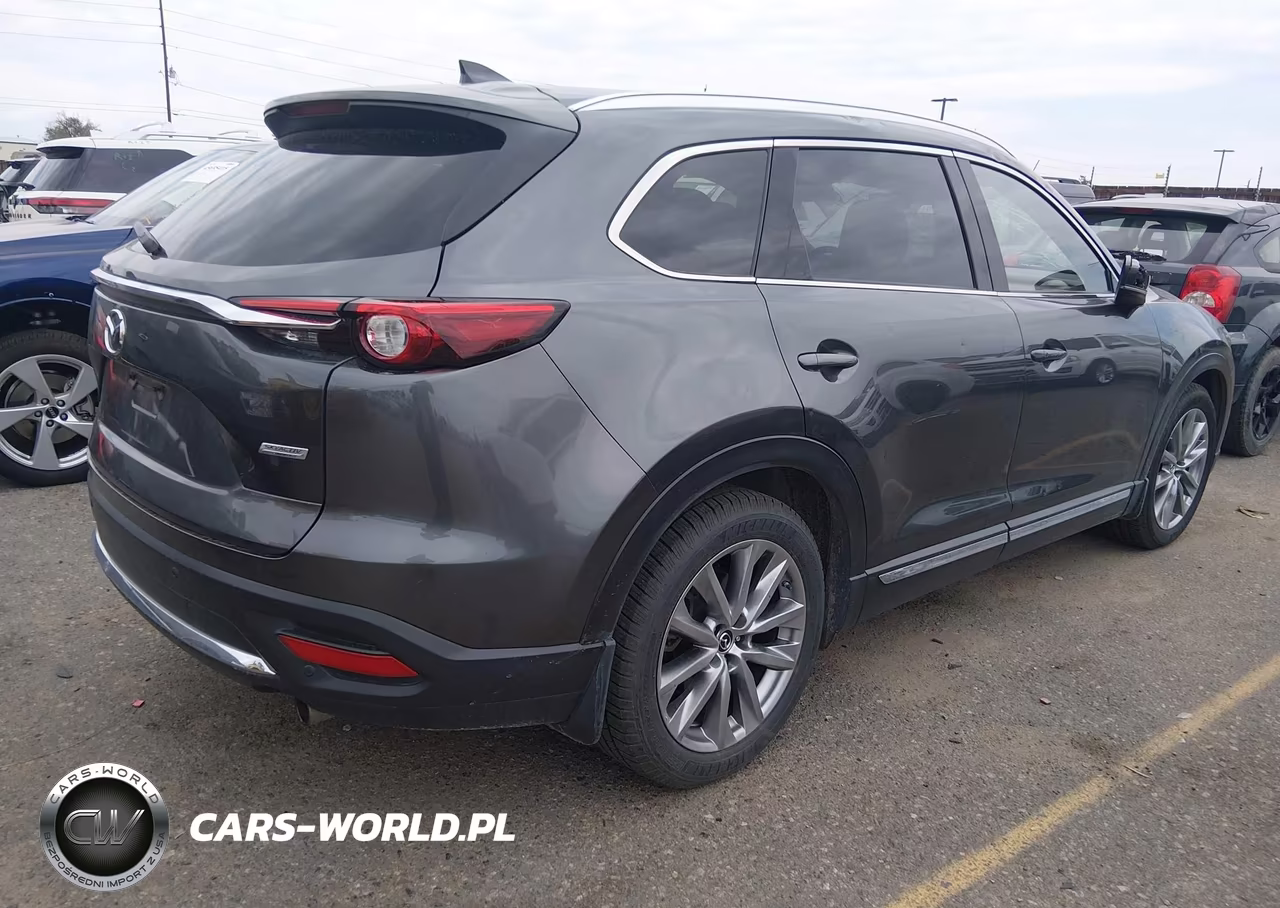 2019 Mazda Cx-9 Signature VIN:JM3TCBEY0K0336322 - 4