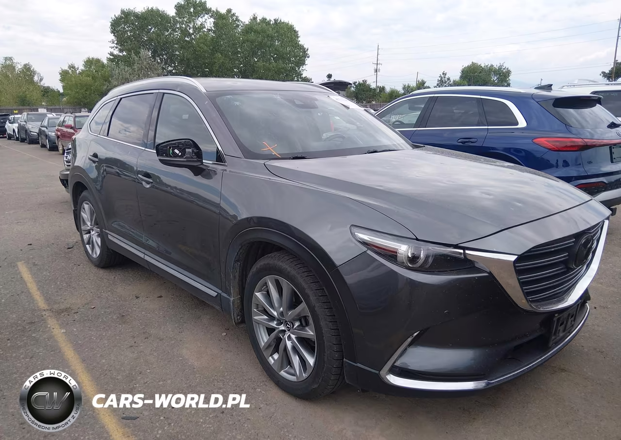 2019 Mazda Cx-9 Signature VIN:JM3TCBEY0K0336322 - 6