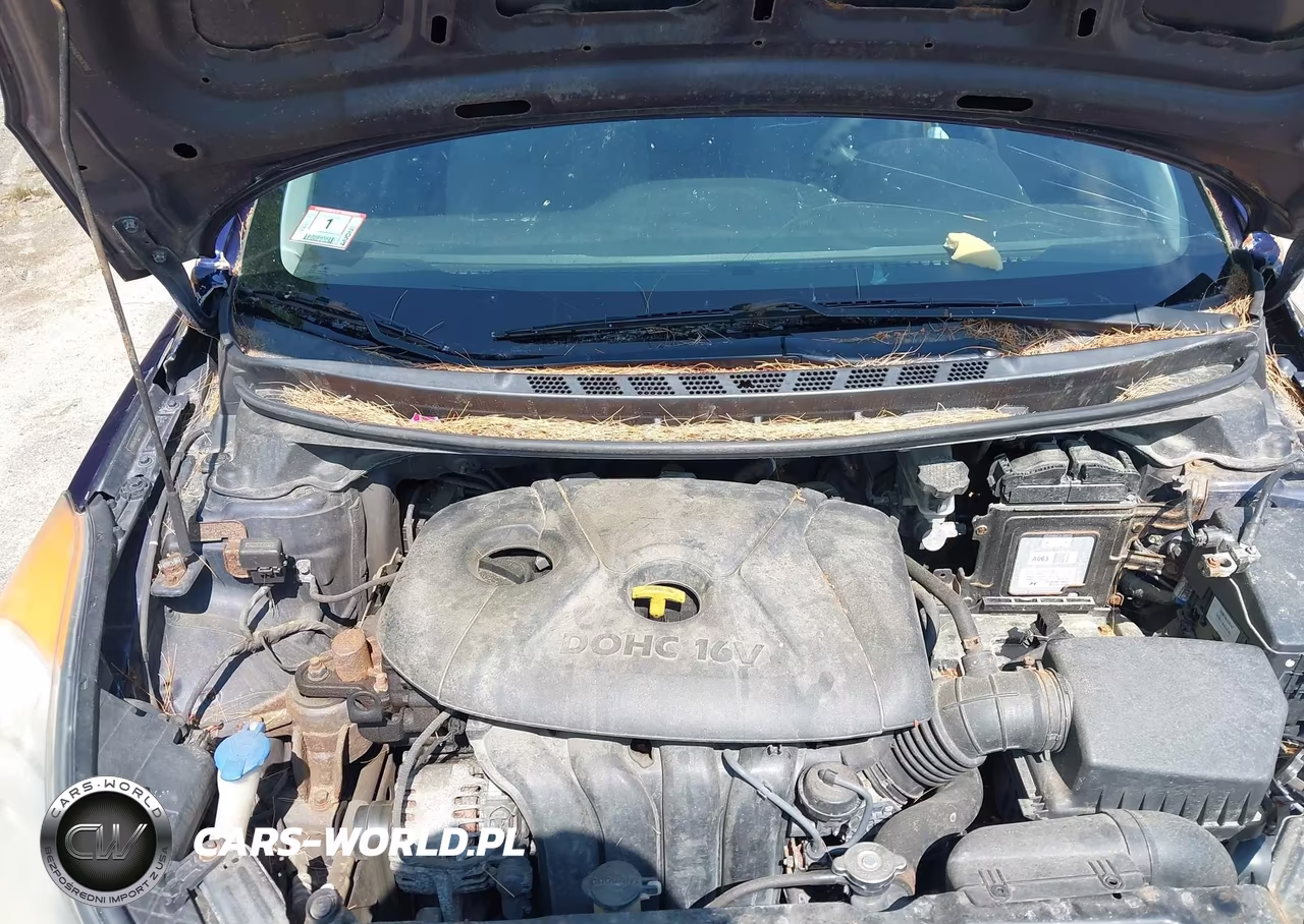 2013 Hyundai Elantra Gls VIN:5NPDH4AEXDH182990 - 10
